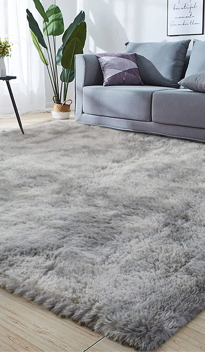 Area Rugs 2